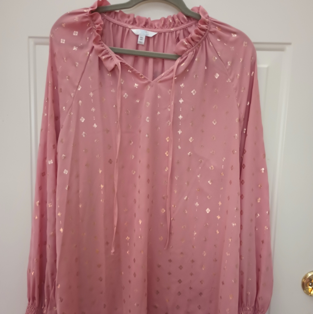 Plus Size XXL (20), Pink Long Sleeve Blouse